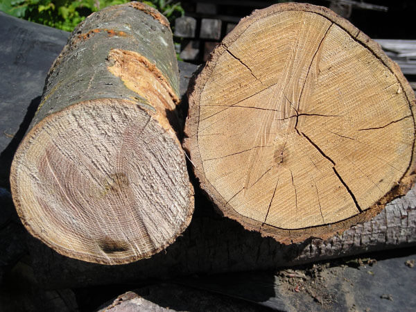 unseasoned firewood versus seasoned