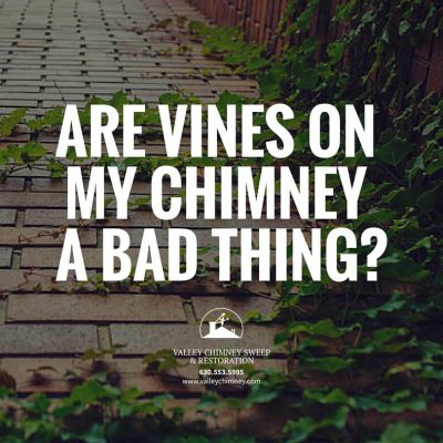 vines on my chimney   Valley Chimney Sweep  Restoration